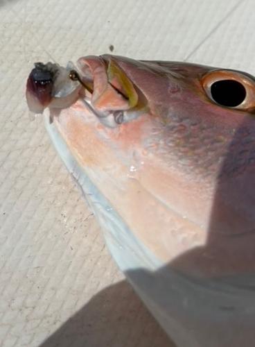 Big YT _ Tiny hook .jpeg