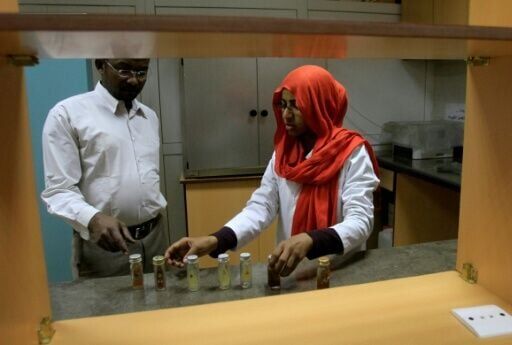 Staff inspect samples at Sudan's Mycetoma Research Centre on August 5, 2013 -- Sudan's war has left data from more than 40 years destroyed, the centre's director says