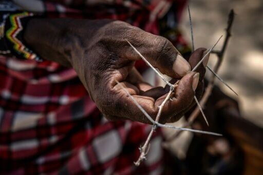 Mycetoma can enter through any wound, often as tiny as a thorn prick