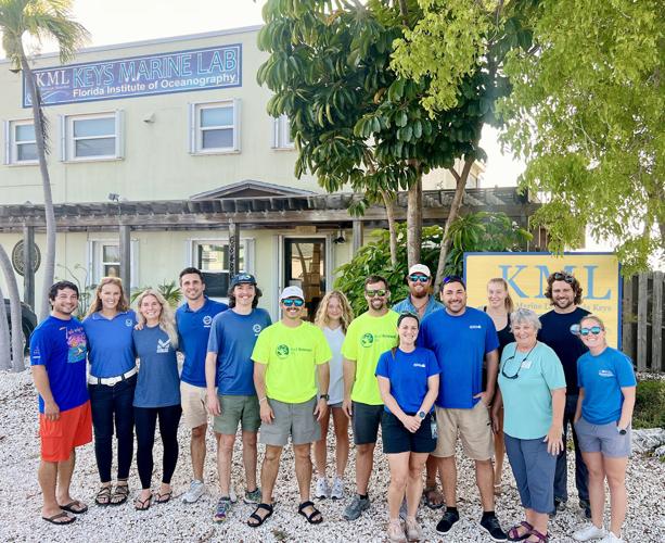 Local restoration groups