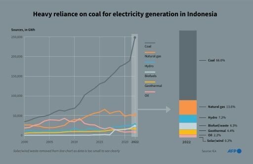 Indonesia electricy supply