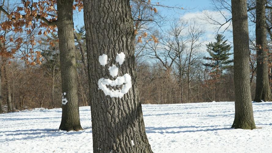 akshay-chauhan-S85ng70J-t0-unsplash