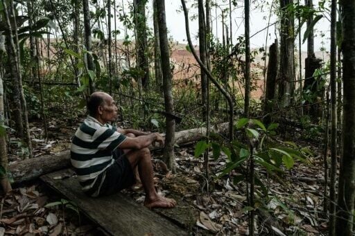 Ngigoro, an elder of the Hongana Manyawa Indigenous tribe, says his ancestral forest is being transformed by mining